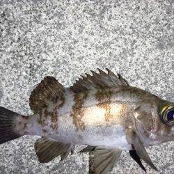 初めてのポイント