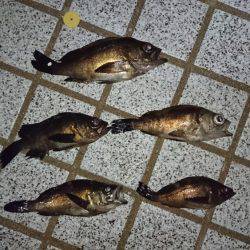 仕事が早く終わったので、ついつい。