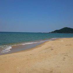 丹後サーフのシロギス