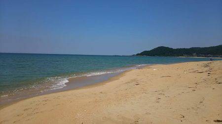 丹後サーフのシロギス