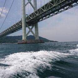 鯛爆釣❗タコも爆釣❗