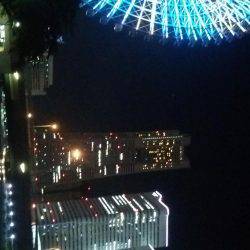 みなとみらいのアジはどうなった!?