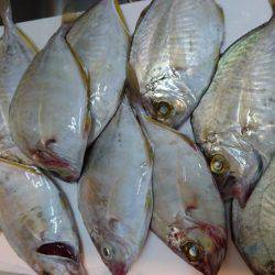 ウミック手漕ぎボート❕