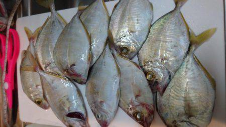 ウミック手漕ぎボート❕