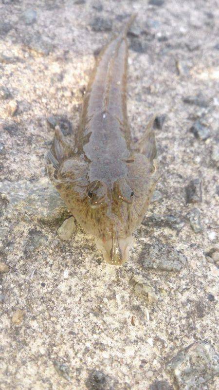 接岸してきてる！？