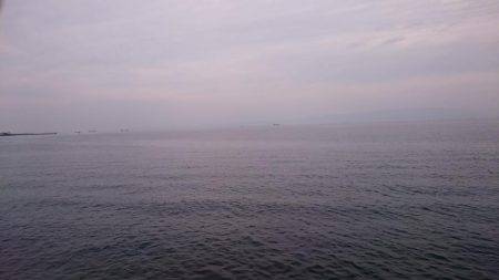 ツバスからのタコ、そしてツバス