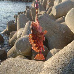 富島港朝のパトロール