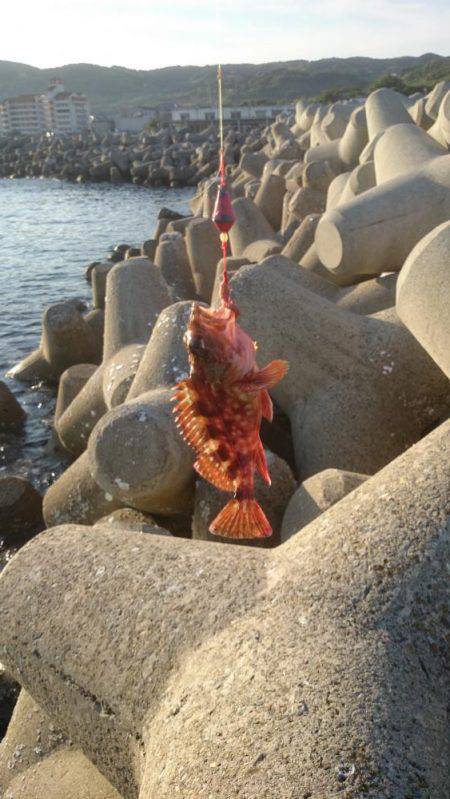 富島港朝のパトロール