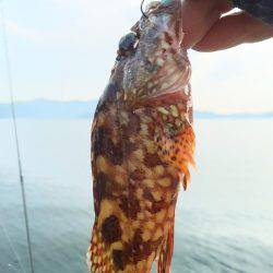 魚の活性は低かった