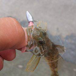 リアクションで辛うじて