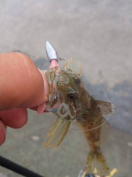 リアクションで辛うじて