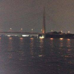 結局、ボラ釣り