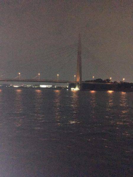 結局、ボラ釣り