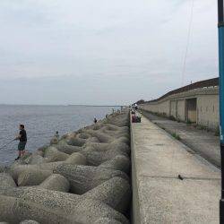 ツバス初ゲット