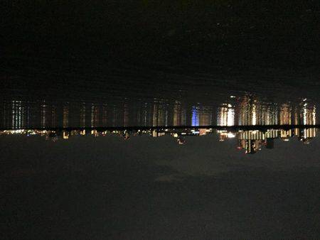 キビレ調査　ＮＯ，１７