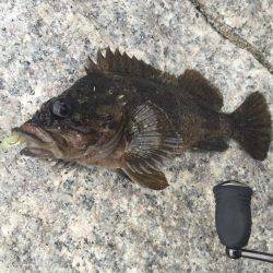 出張先での休日