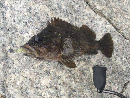 出張先での休日