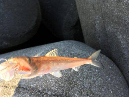 ランガンソルティング