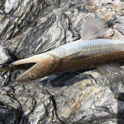 めちゃ久々のヤエン。