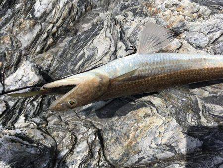 めちゃ久々のヤエン。