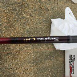 キスが釣りたい