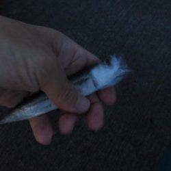 噂の勝浦港は小物ばかり・・・