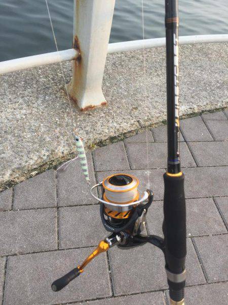 サイズちょい上がってきたかな