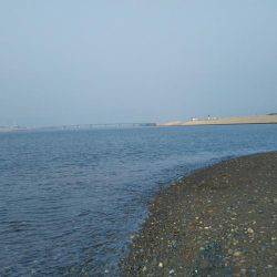 那賀川河口でマゴチ