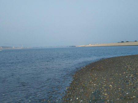 那賀川河口でマゴチ