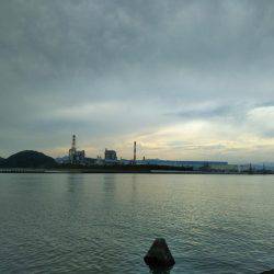 阿南市の辰巳でマゴチ