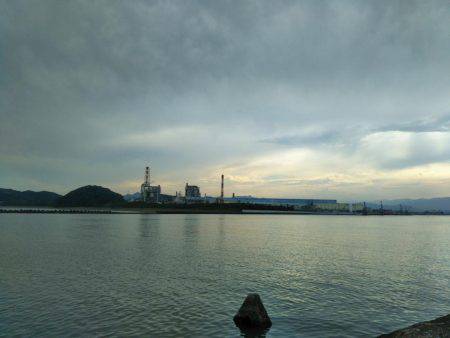 阿南市の辰巳でマゴチ