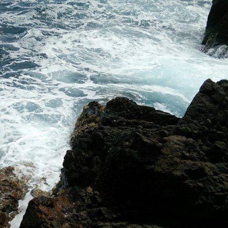 久しぶりの青物