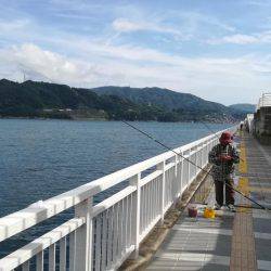 ツバス祭りです！