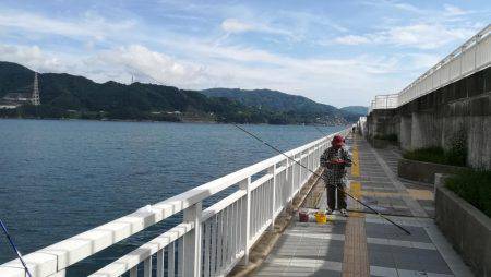 ツバス祭りです！