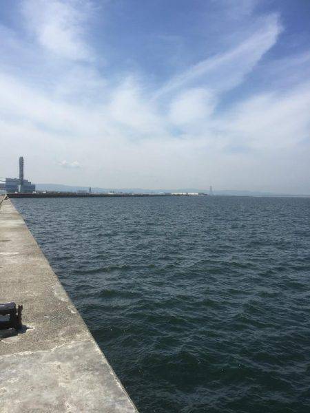 シャクリシャクリ