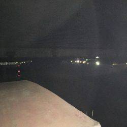 強風の中で……