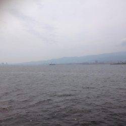 ツバスワンにトビエイ4