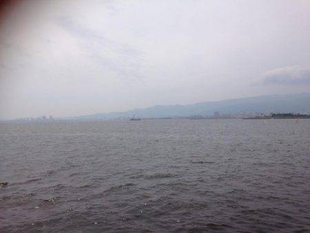 ツバスワンにトビエイ4