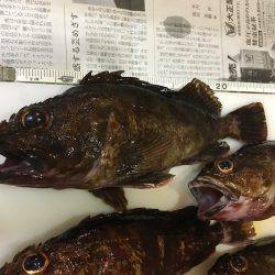 泉州ライトワインド