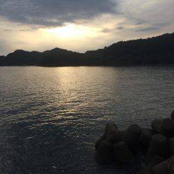 アジ釣り⑩ 久しぶりに楽しめました！