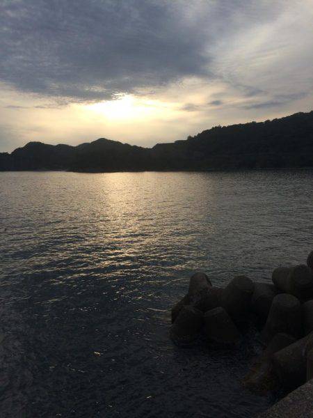 アジ釣り⑩ 久しぶりに楽しめました！