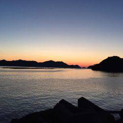 キスがポツポツ