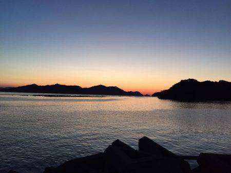 キスがポツポツ