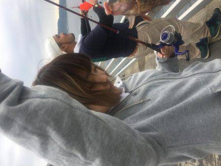 エギング、穴釣り