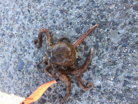 久しぶりに、、。