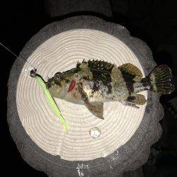 メバリングしに来たのに？！