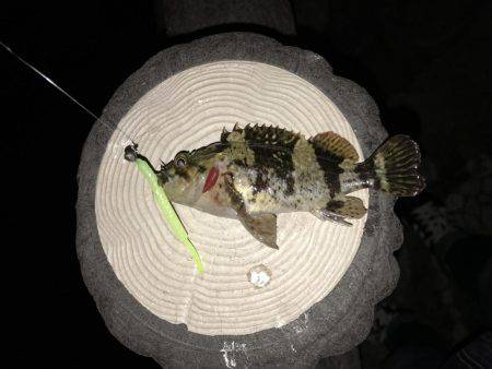 メバリングしに来たのに？！