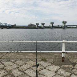 シーバス好調！！