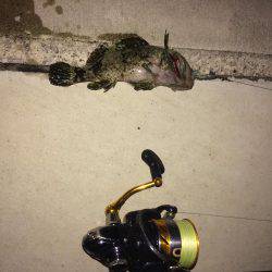 西風ポイントにて