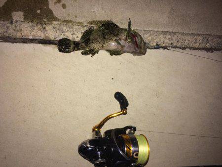 西風ポイントにて